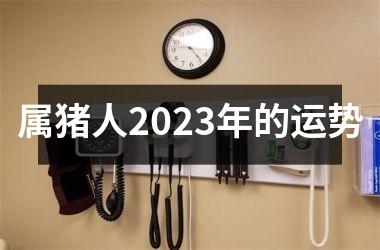 属猪人2025年的运势