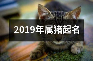 <h3>2019年属猪起名