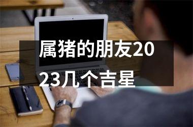 <h3>属猪的朋友2023几个吉星