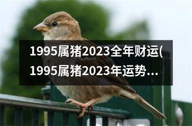 1995属猪2025全年财运(1995属猪2025年运势及运程)