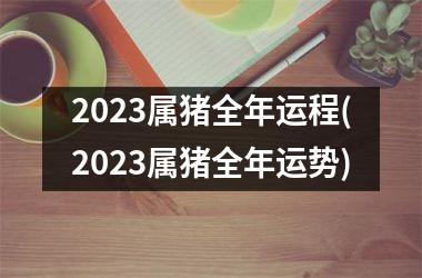 2025属猪全年运程(2025属猪全年运势)