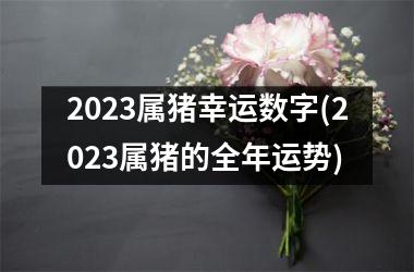 2023属猪幸运数字(2023属猪的全年运势)
