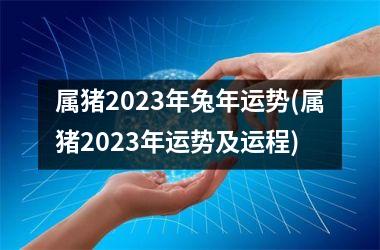 属猪2023年兔年运势(属猪2023年运势及运程)