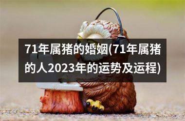 71年属猪的婚姻(71年属猪的人2025年的运势及运程)