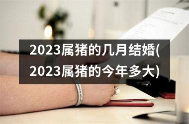 2025属猪的几月结婚(2025属猪的今年多大)