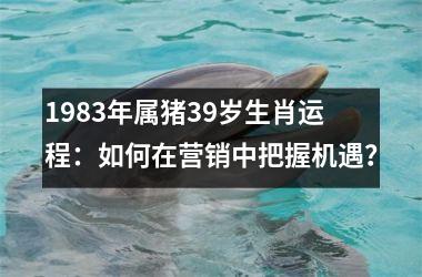 1983年属猪39岁生肖运程：如何在营销中把握机遇？