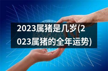 <h3>2025属猪是几岁(2025属猪的全年运势)