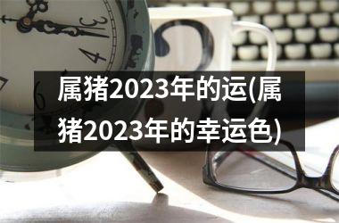 属猪2025年的运(属猪2025年的幸运色)