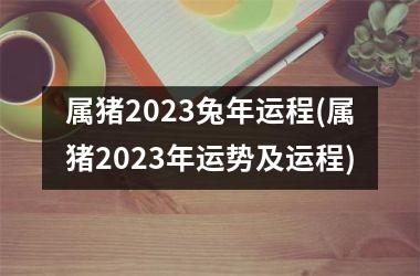 属猪2025兔年运程(属猪2025年运势及运程)