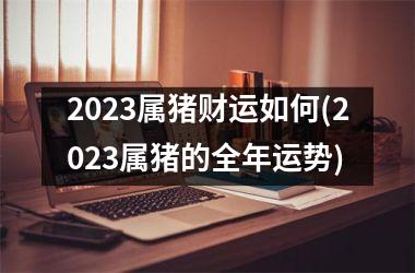 2025属猪财运如何(2025属猪的全年运势)