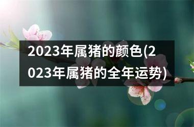 2025年属猪的颜色(2025年属猪的全年运势)