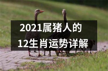  2025属猪人的12生肖运势详解