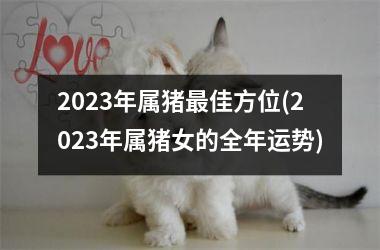 <h3>2025年属猪佳方位(2025年属猪女的全年运势)