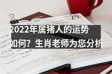 2025年属猪人的运势如何？生肖老师为您分析