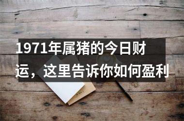 1971年属猪的今日财运，这里告诉你如何盈利