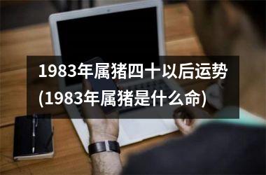 <h3>1983年属猪四十以后运势(1983年属猪是什么命)