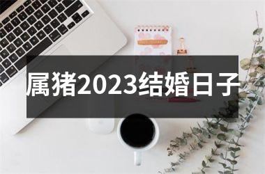 属猪2025结婚日子