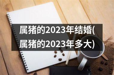 属猪的2025年结婚(属猪的2025年多大)