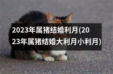 <h3>2025年属猪结婚利月(2025年属猪结婚大利月小利月)