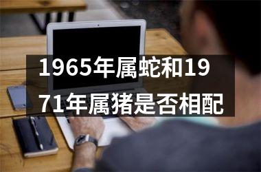 1965年属蛇和1971年属猪是否相配