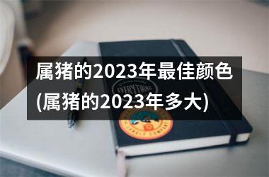 属猪的2025年佳颜色(属猪的2025年多大)