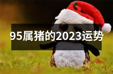 95属猪的2025运势