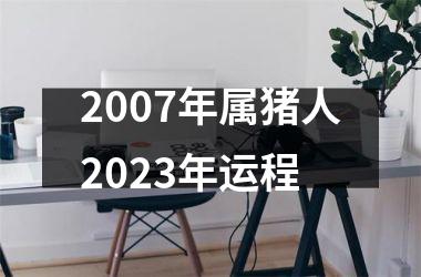 2007年属猪人2025年运程