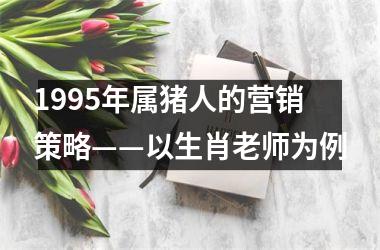 1995年属猪人的营销策略——以生肖老师为例