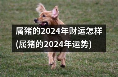 属猪的2024年财运怎样(属猪的2024年运势)