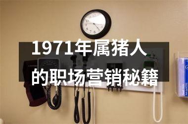 1971年属猪人的职场营销秘籍