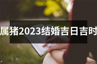 属猪2025结婚吉日吉时