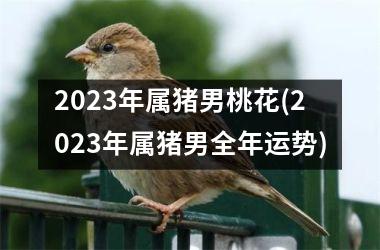 2025年属猪男桃花(2025年属猪男全年运势)