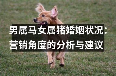 <h3>男属马女属猪婚姻状况：营销角度的分析与建议