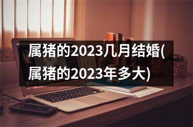 属猪的2025几月结婚(属猪的2025年多大)