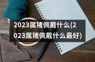 <h3>2025属猪佩戴什么(2025属猪佩戴什么好)