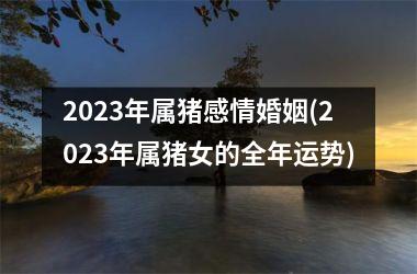 <h3>2025年属猪感情婚姻(2025年属猪女的全年运势)