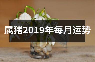 属猪2019年每月运势