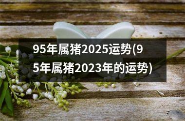 95年属猪2025运势(95年属猪2023年的运势)