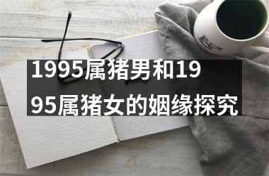 1995属猪男和1995属猪女的姻缘探究