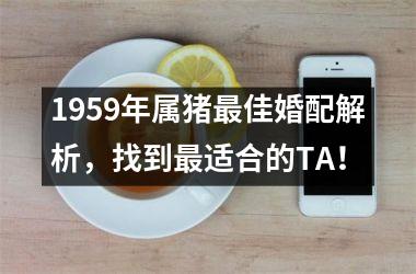 1959年属猪佳婚配解析，找到适合的TA！