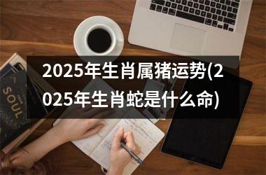 2025年生肖属猪运势(2025年生肖蛇是什么命)