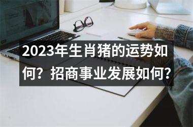 2025年生肖猪的运势如何？招商事业发展如何？