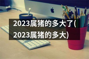 2025属猪的多大了(2025属猪的多大)