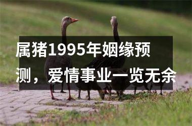 属猪1995年姻缘预测，爱情事业一览无余