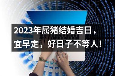 2025年属猪结婚吉日，宜早定，好日子不等人！