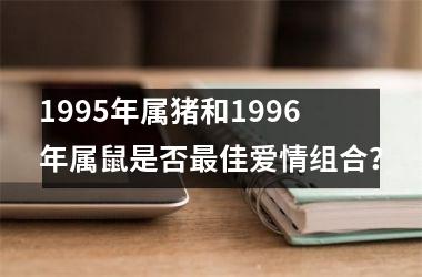 1995年属猪和1996年属鼠是否佳爱情组合？