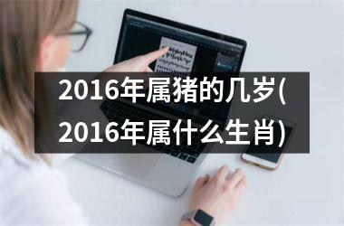 2016年属猪的几岁(2016年属什么生肖)