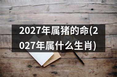 2027年属猪的命(2027年属什么生肖)