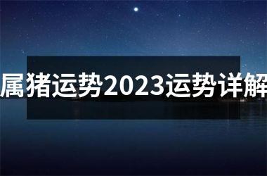 属猪运势2025运势详解