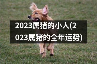 2025属猪的小人(2025属猪的全年运势)